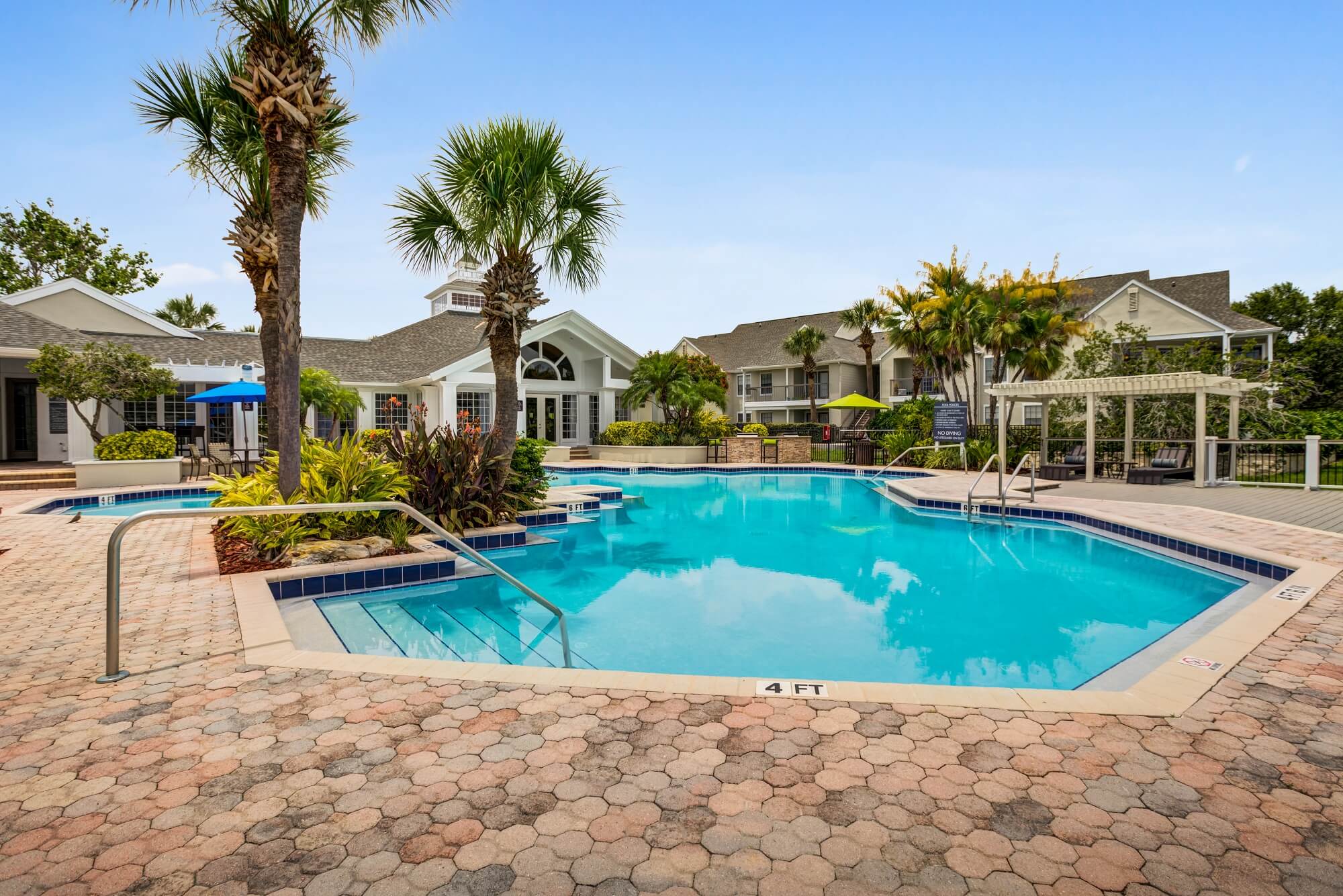 view of large pool from shallow end with palm trees.