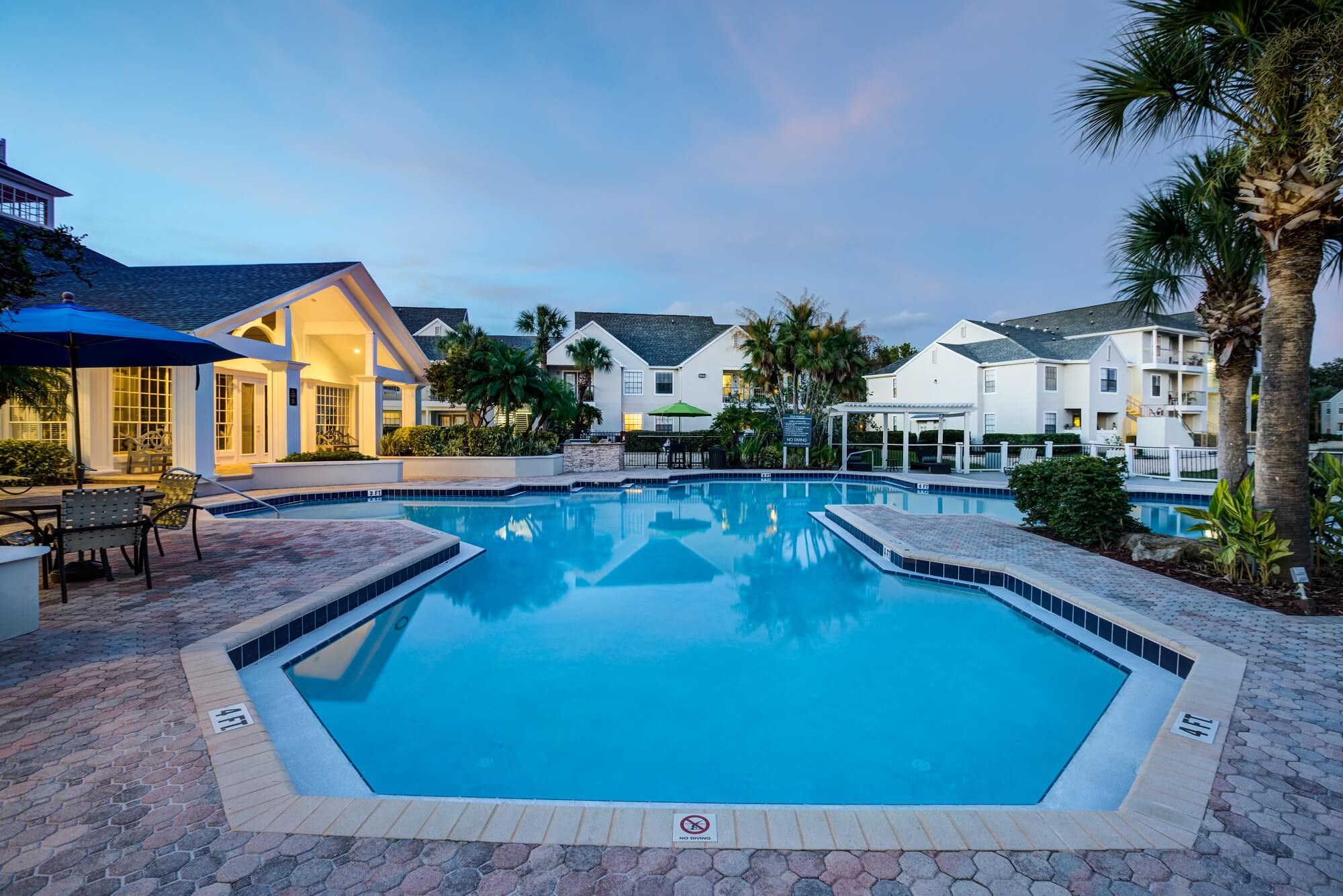 night time pool view with palm trees and lounge chairs.